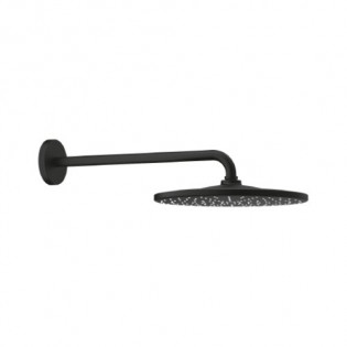 Grohe Rainshower Mono Head Shower Black