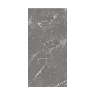 Beroia Porcelain 60×120 Cm Grey