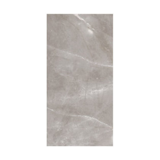 Beroia Porcelain 60×120 Cm Grey 