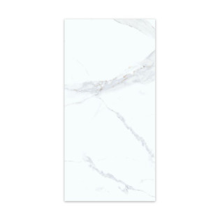 Beroia Porcelain 60×120 Cm White×Grey