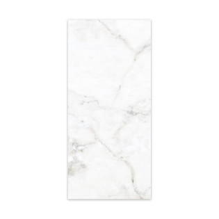 Beroia Porcelain 60×120 Cm White×Grey