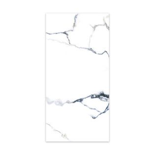 Beroia Porcelain 60×120 Cm White×Grey 