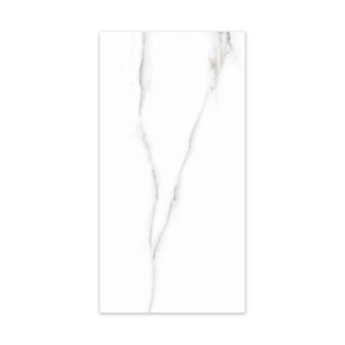 Beroia Indian Porcelain 60×120 Cm White 