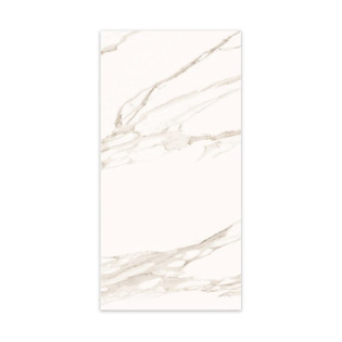 Beroia Indian Porcelain 60×120 Cm White×Beige 