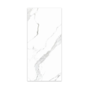 Beroia Carara Indian Porcelain 60×120 Cm White×Grey