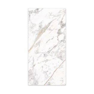 Beroia Royal Indian Porcelain 60×120 Cm White×Grey