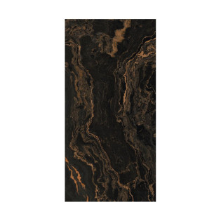 Beroia Porcelain 60×120 Cm Black×Gold