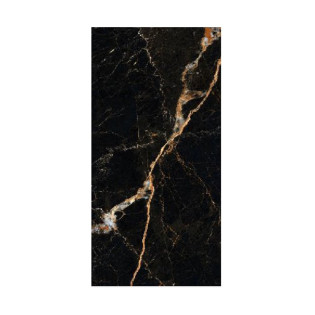 Beroia Porcelain 60×120 Cm Black×Gold