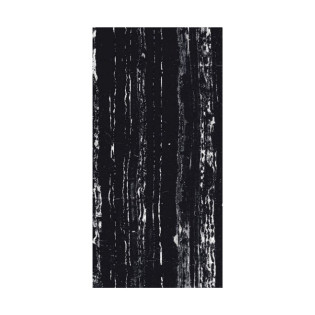 Beroia Indian Porcelain 60×120 Cm Black×White 