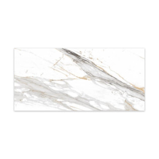 Beroia Porcelain 60×120 Cm White×Grey