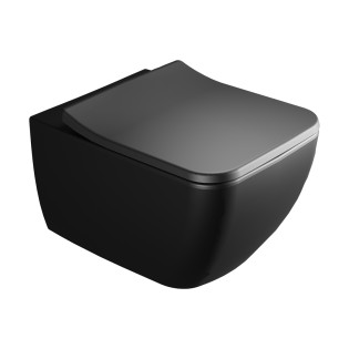 مرحاض معلق ريلميس بالدش فيلروي اند بوخ فانتيشللو أسود مطفى