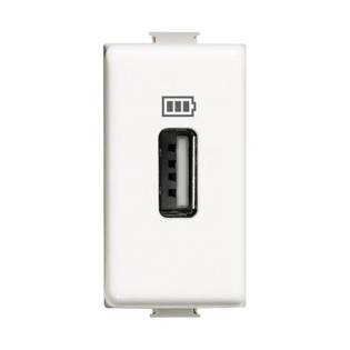 USB Socket Solida Ivory Bticino